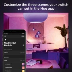 Philips HUE Smart Wall Switch Module 2 Pack -Lava Lamp Shop 30838369 alt04